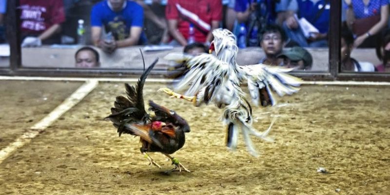 halo88 ﻿đăng nhập lô đề uy tín