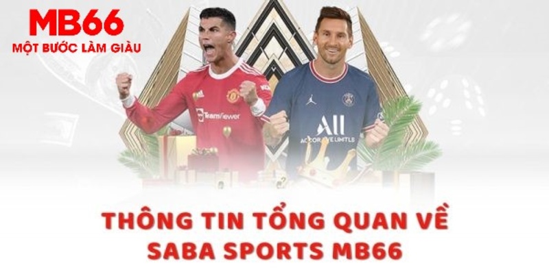 halo88 8 bí ẩn chơi nổ hũ ít ai biết