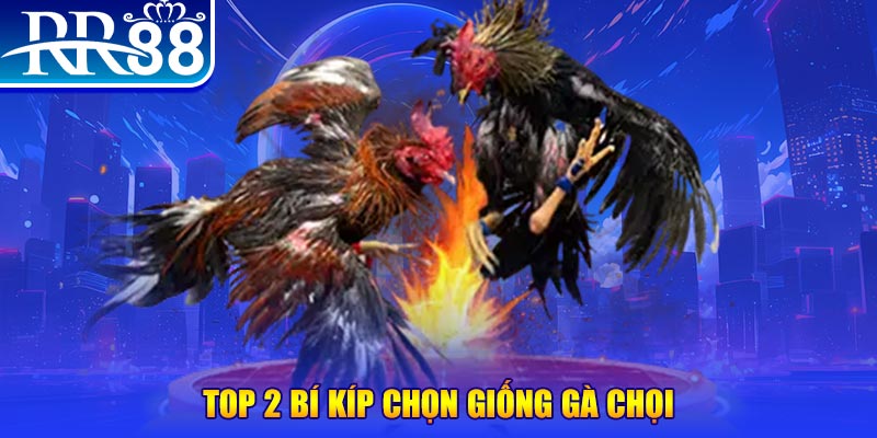 halo88 bắn cá h5