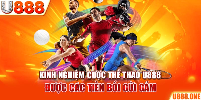 halo88 ÁT CHỦ BÀI GIÀNH LẤY ZHUANG NIUNIU ( XEM 3 LÁ )