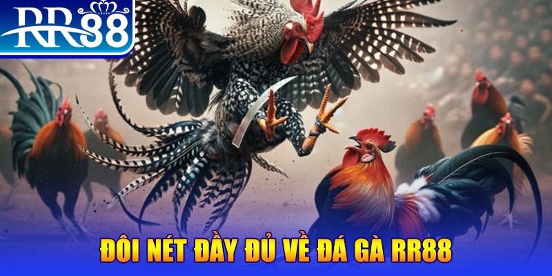 halo88 gà chọi hoà phong