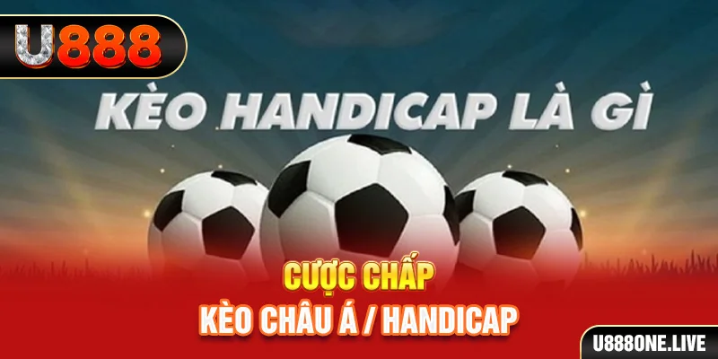 halo88 tải game đánh bài tiến lên miền nam về máy tính
