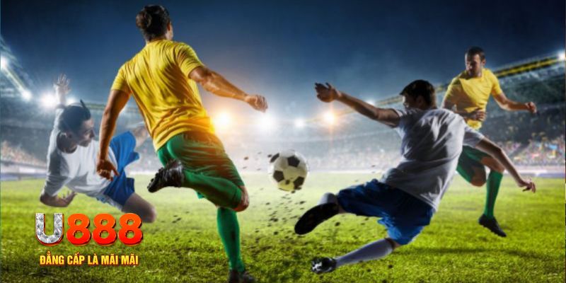 halo88 trực tiếp đá gà c1 hôm nay