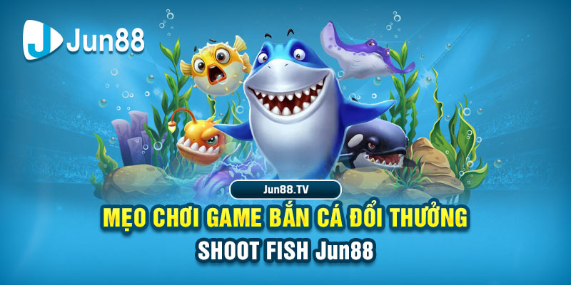 halo88 tải game đánh bài online về máy tính