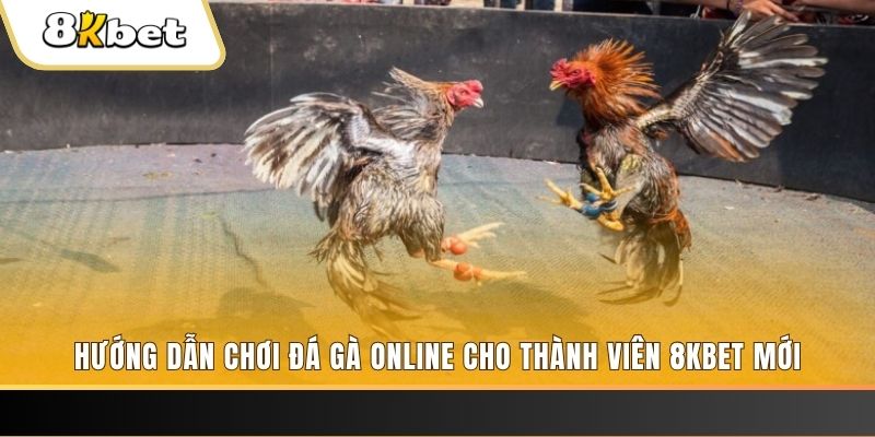 halo88 nổ hũ đổi thưởng . ai
