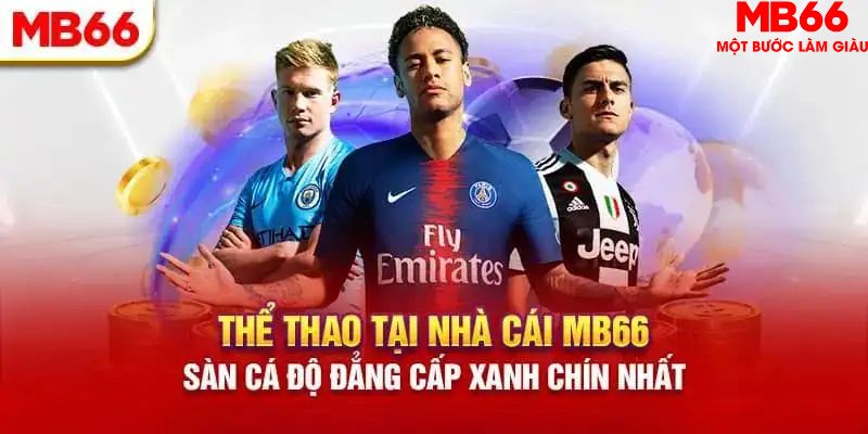 halo88 mơ thấy nổ hũ đánh con gì