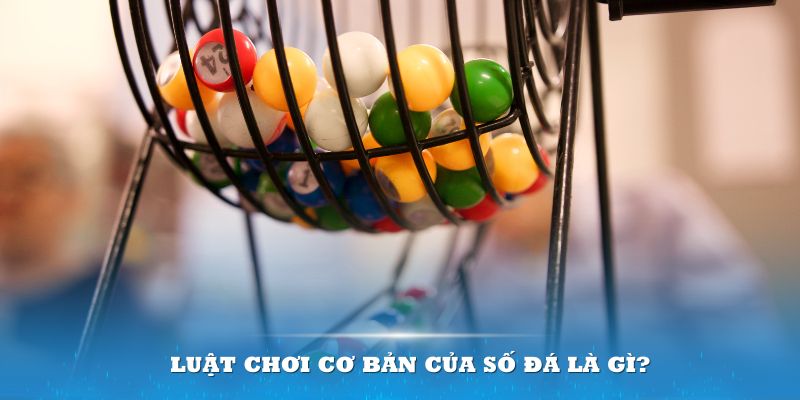 halo88 Đĩa màu ace