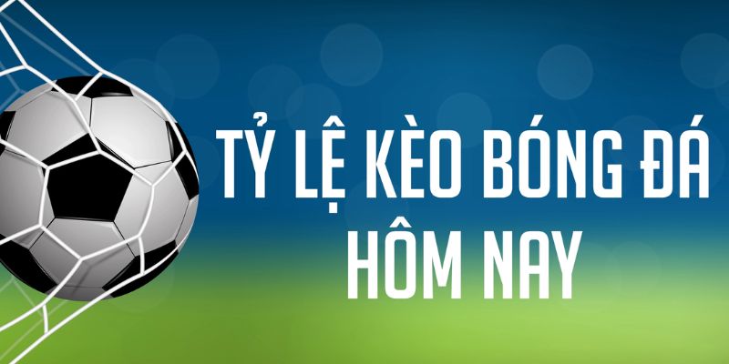 halo88 ÁT CHỦ MÁY HOA QUẢ THẦN TÀI