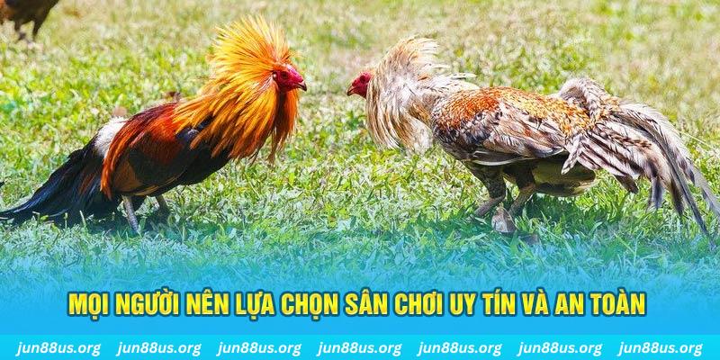 halo88 Tài Xỉu