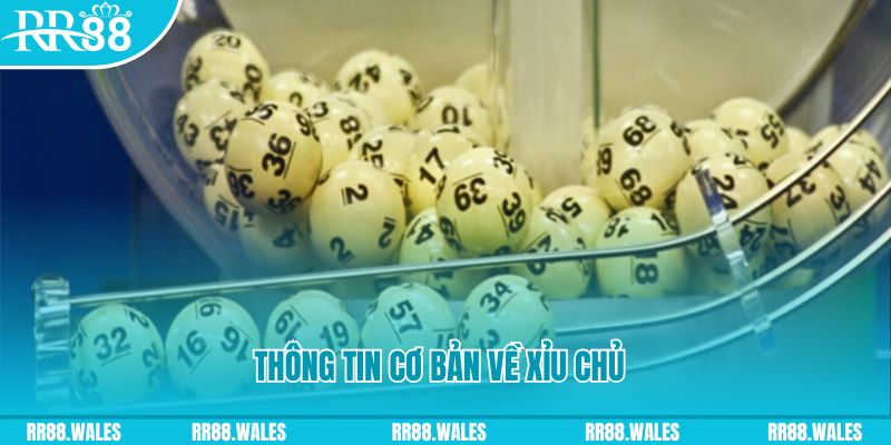 halo88 xổ số đà nẵng