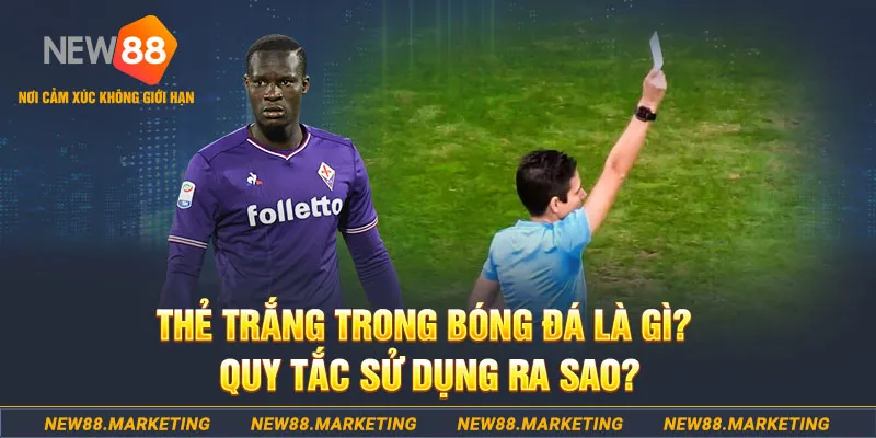 halo88 nổ hủ là gì
