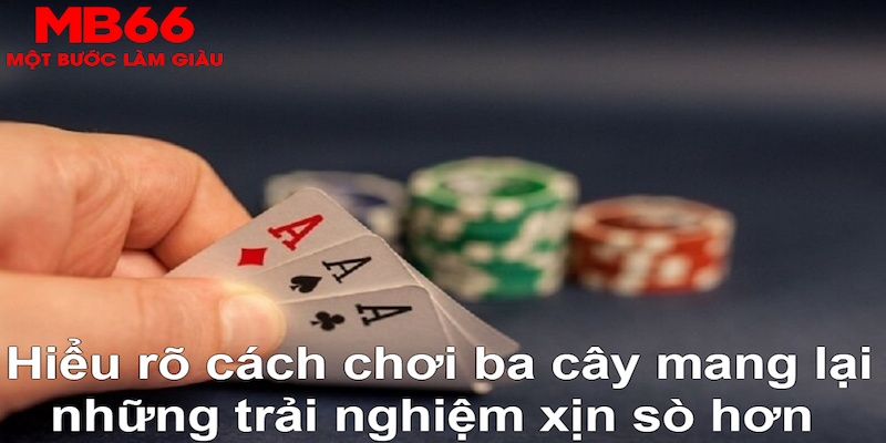 halo88 DB Trực Tuyến