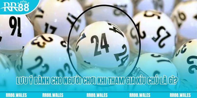 halo88 baccarat bịp như thế nào