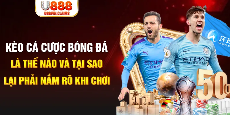 halo88 Xì tố