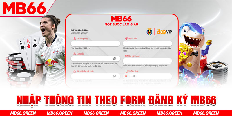 halo88 gà chọi c1 thomo
