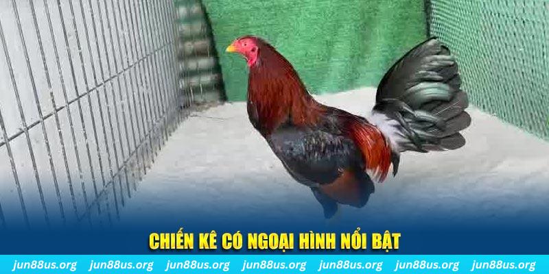 halo88 nhạc slot là gì