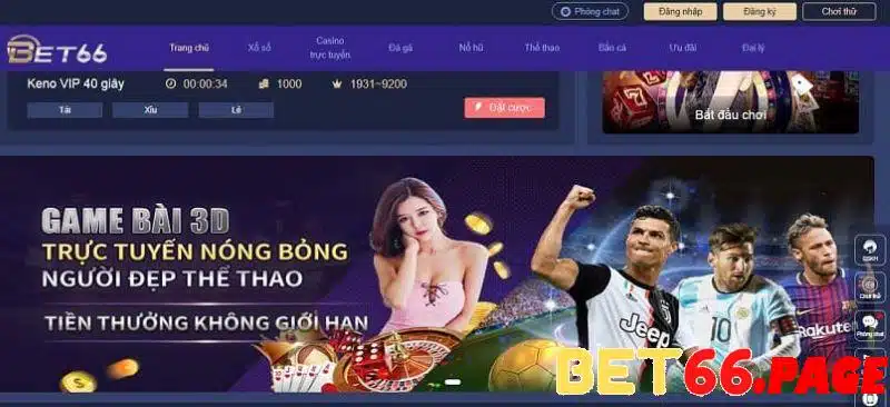 halo88 how to gamble in a casino